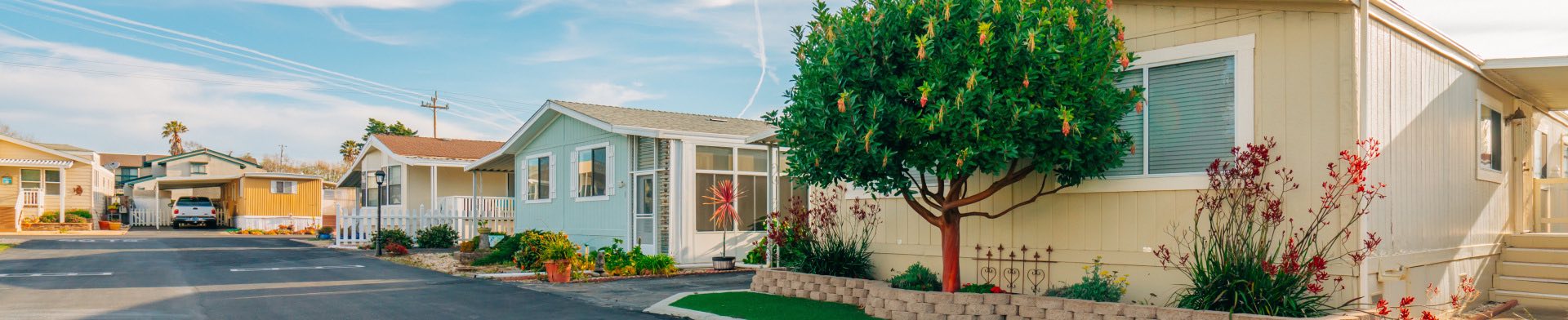 Nice looking mobile home neighborhood