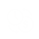 Icon of a dollar sign and a clock.