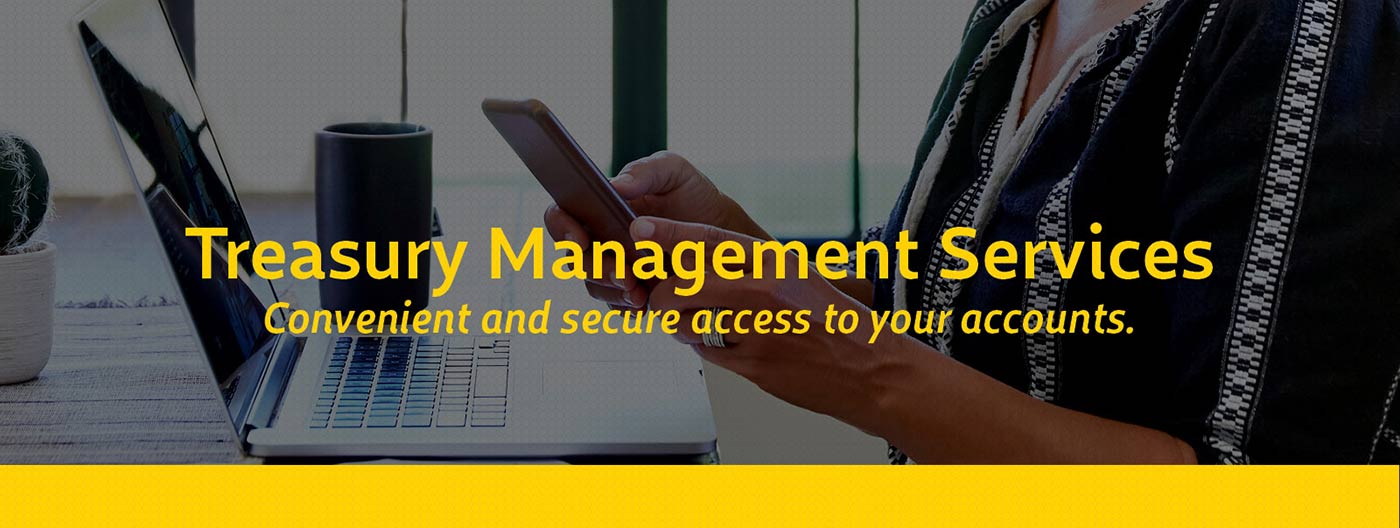 Treasury Management Services - Convenient and secure access to your accounts.
